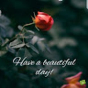 Meet your Posher, Blackangels